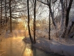 winter river