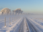 winter road