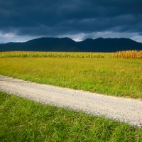 Light and shadow play