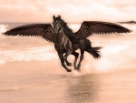 Pegasus