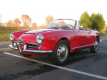 1964 Alfa Romeo Giulia Spider 1600