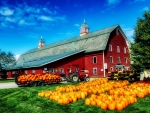 Pumpkin Barn