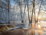 winter scene