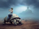 Turtle Rider