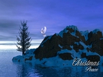 Christmas Peace