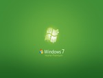 Windows Wallpaper 11