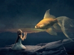 The Goldfish