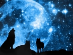 Howling the Moon