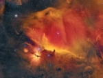 Wisps Surrounding the Horsehead Nebula
