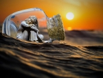 Message in a Bottle