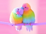 Lovebirds