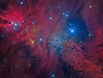 In the Vicinity of the Cone Nebula