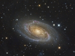 Messier 81