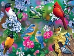 Spring Birds