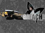 Bleach