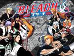 Bleach Group