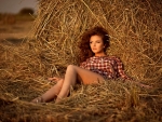 Lay In The Hay . .