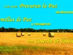Semillas de Paz
