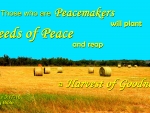 Seeds of Peace