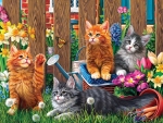 Maine Coon Kittens in the Garden