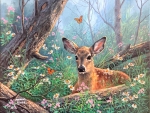 Sweet Fawn