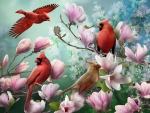 Red Cardinals and magnolias