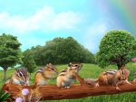 Chipmunks on a Log