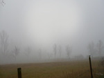 Winter Field Fog