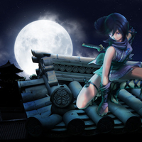 Ninja - Moon light