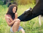 Cows Like Cowgirls . .