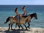 Beach Riders .  .