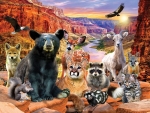 Animals of Canyons National Park