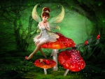 Fairy and Lady Bugs