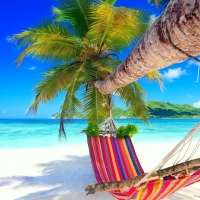 Holidays in paradise