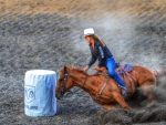 Rodeo Cowgirl . .