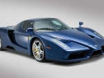 Blue Enzo