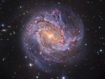 M83 The Thousand-Ruby Galaxy