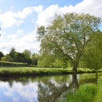 The Peaceful Chalkstream