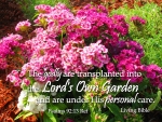 Transplanted into God's Own Garden