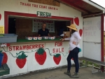 Cowgirl At A Fruit Stand . .