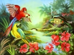 paradise birds