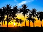 Tropical sunset