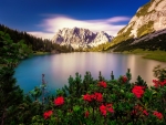 Landscape with mountain, lake and flowers