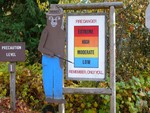 Smokey the Bear