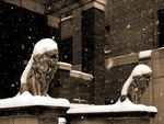Snowy Statues