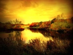 Golden Pond