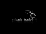 BackTrack 4