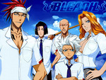 Bleach