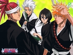 Bleach