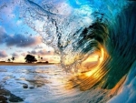 Hawaiian waves